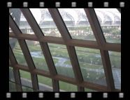 IMG_0899